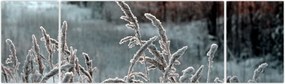 Obraz - Frozen Meadow (170x50 cm)