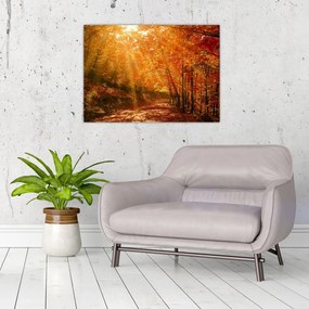 Obraz na szkle jesiennego lasu (70x50 cm)