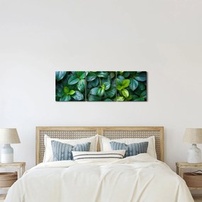 Obraz - Rośliny zielone (z zegarem) (90x30 cm)