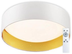 Top Light - LED Plafon ściemnialny LED/24W/230V +pilot biały