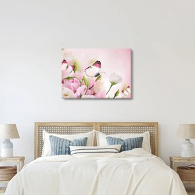Obraz - Motyl (70x50 cm)
