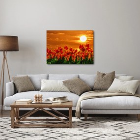 Obraz kwitnącego pola z tulipanami (70x50 cm)