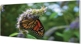 Panel Szklany Wiosenny Motyl na Kwiecie