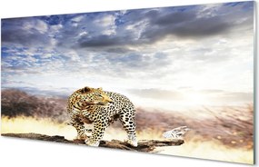 Panel szklany do Kuchni Pantera na tle Chmur