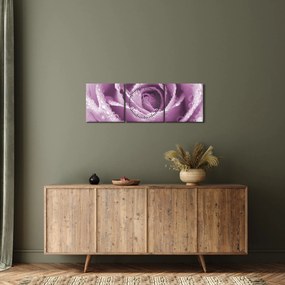 Obraz szczegółu kwiatu róży (z zegarem) (90x30 cm)