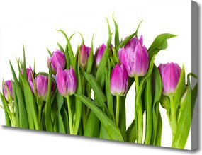 Obraz na płótnie Tęczowe Pole Tulipanów