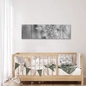 Obraz - Trawa pampasowa Boho (170x50 cm)