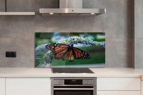 Panel Szklany Motyl Spijający Nektar