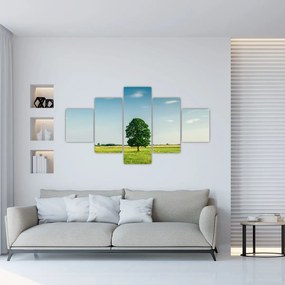Obraz drzewa na środku łąki (125x70 cm)