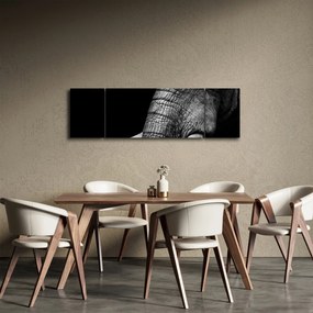 Obraz - Kły słonia (170x50 cm)