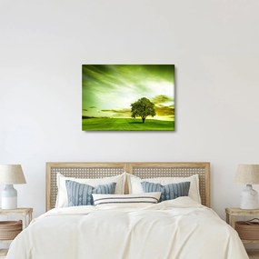 Obraz - Drzewo życia (70x50 cm)