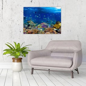 Obraz - Ocean (70x50 cm)