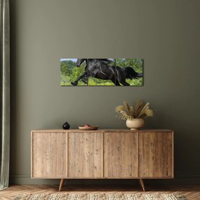 Obraz - Koń z płynącą grzywą (z zegarem) (90x30 cm)