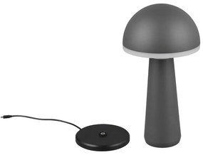 Lampa zewnętrzna ze ściemniaczem ø 16 cm Fungo – Trio