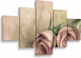 Obraz - Delikatne róże (125x70 cm)