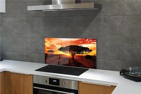 Panel szklany do Kuchni Drzewa pod Wieczornym Niebem