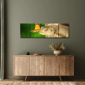 Obraz - Jaszczurka (170x50 cm)
