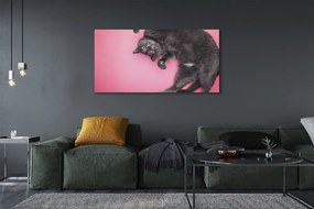 Zdjęcie na płótnie Leniwe Popołudnie Kota