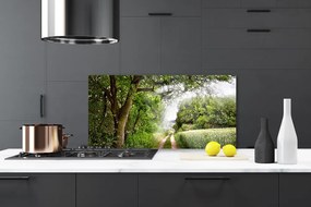 Szkło Ozdobne do Kuchni Ścieżka przez Słoneczny Las