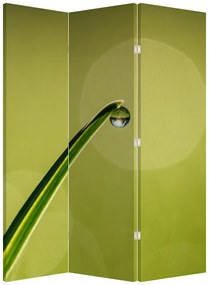 Parawan - Kropla wody na trawie (126x170 cm)