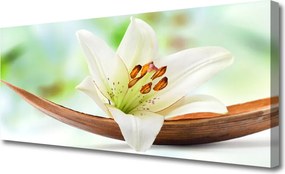 Fotoobraz na płótnie Subtelny Pąk Kwiatowy