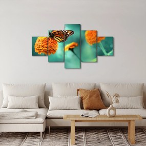 Obraz motyla (125x70 cm)