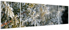 Obraz - Detal gałęzi (170x50 cm)
