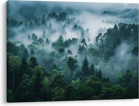 Obraz - Las we mgle (70x50 cm)