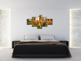 Obraz - pomarańczowe tulipany (125x70 cm)