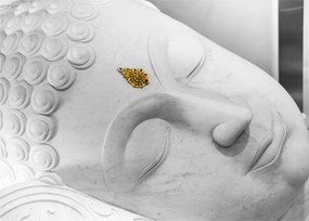 Obraz - Biały Budda (70x50 cm)