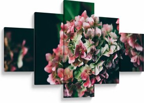 Obraz - Fragment Hortensji (125x70 cm)