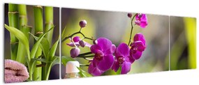 Obraz - spa and stones (170x50 cm)