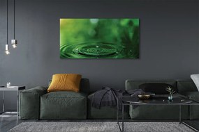 Fotoobraz na płótnie Czysta Kropla w Zbliżeniu