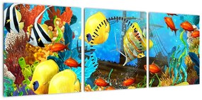 Obraz - Kolorowa rafa koralowa (z zegarem) (90x30 cm)