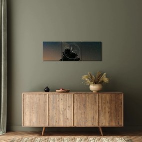 Obraz nocnego nieba z drzewami (z zegarem) (90x30 cm)