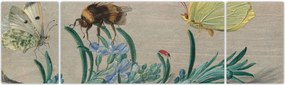 Obraz - Jan van Kessel the Elder, Insects and a Sprig of Rosemary, reprodukcje (170x50 cm)