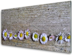 Panel Szklany Śnieżnobiała Stokrotka w Trawie