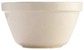 Biała misa kamionkowa Mason Cash Basin, ⌀ 22 cm