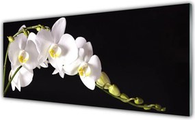 Panel Kuchenny Urokliwa Flora Ogrodowa