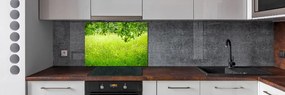 Panel dekor szkło Zielona łąka