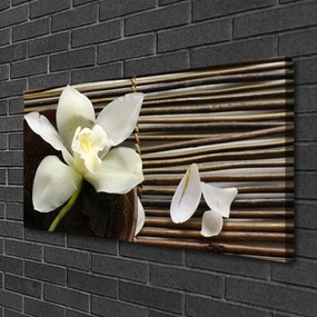 Obraz na płótnie Delikatny Pąk Kwiatu