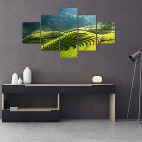 Obraz - Koncert w Tarasach Ryżowych (125x70 cm)