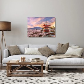 Obraz na szkle - Fuji (70x50 cm)
