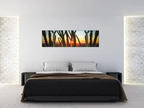 Obraz - Rośliny (170x50 cm)