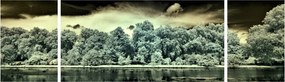 Obraz akwenu wodnego (170x50 cm)