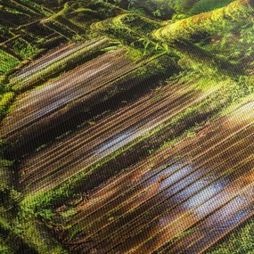 Obraz schodów w deszczowym pralesie (z zegarem) (90x30 cm)