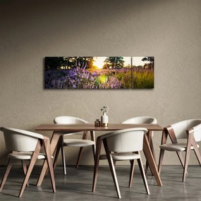 Obraz pola lawendy (170x50 cm)