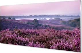 Szklany Panel Natura: Pole Wrzosów