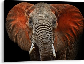 Obraz - Słonie z Tsavo (70x50 cm)