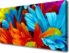 Duży obraz na płótnie Harmonijna Flora Ogrodowa